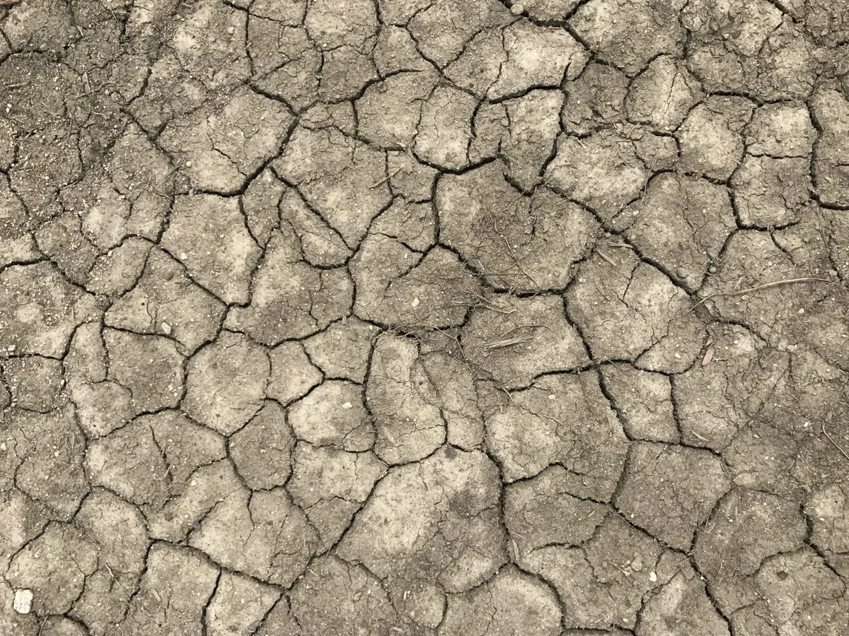 Dry clay ground split into plates by deep shrinkage cracks