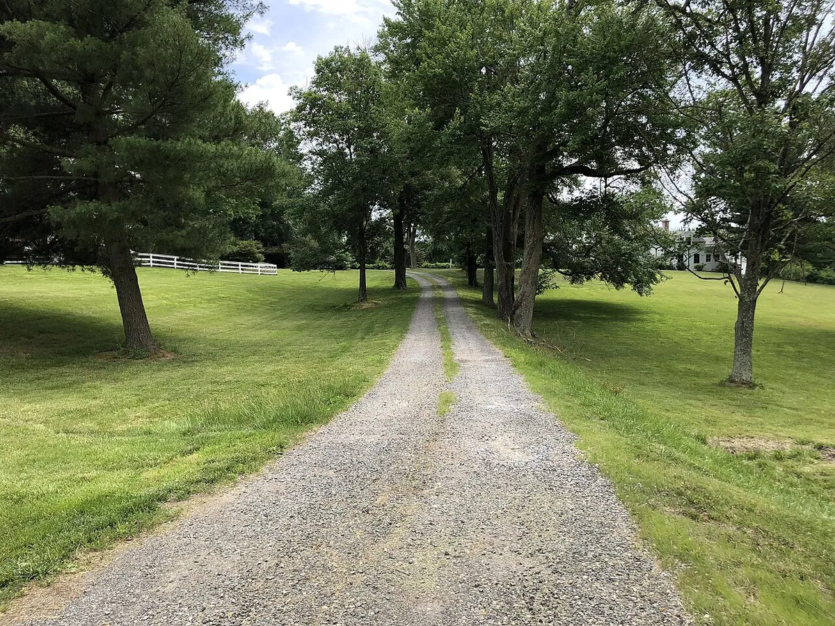 A long gravel driveway running between mowed lawns and shade trees
